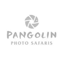 Pangolin Photo Safaris
