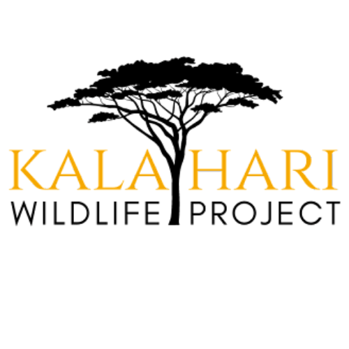 Kalahari Wildlife Project Pangolin Guardians