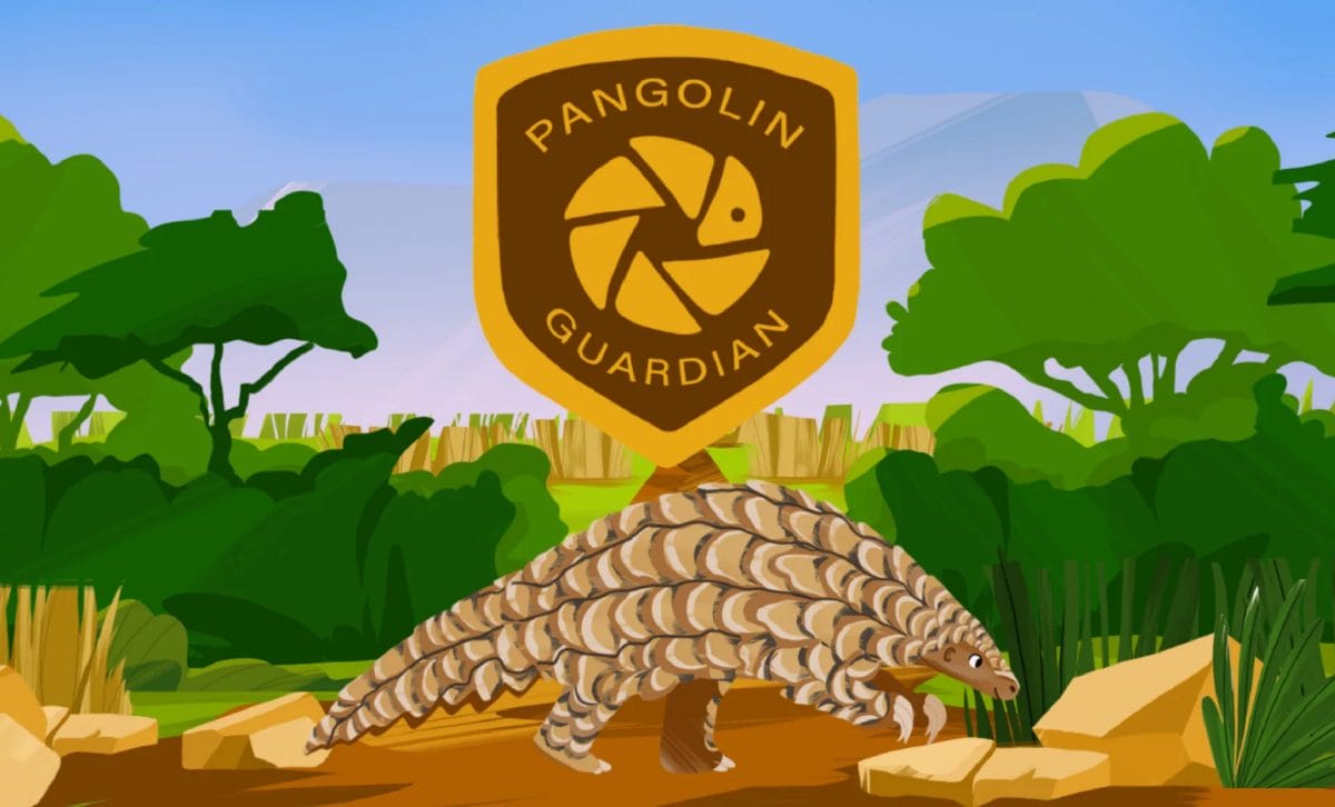 pangolin guardians | what is a pangolin 01